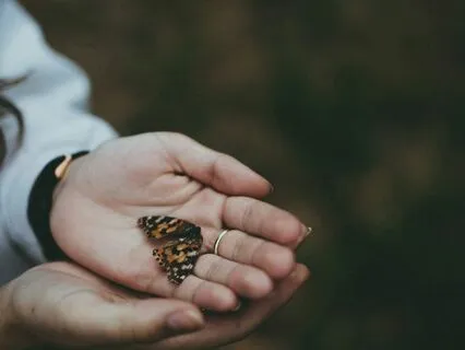 Letting Go Of What No Longer Serves You