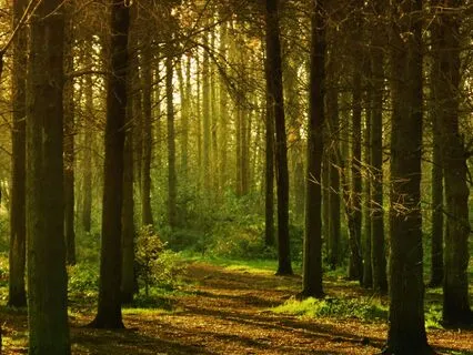 Letting Go Of Worry, Inviting In Freedom