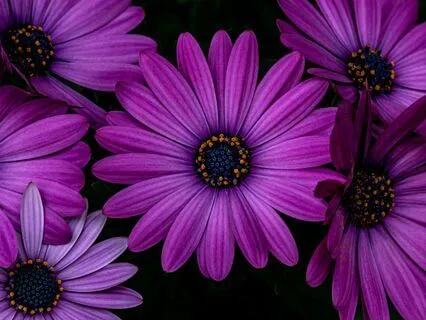 Letting Go Of Your Attachment To Material Outcomes