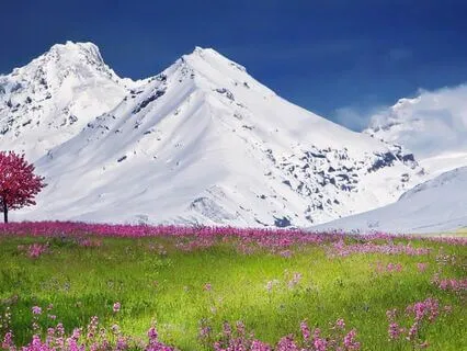 Letting Go: Peace & Present Moment Bliss