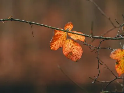 Letting Go | Piano Reflections On Change & Impermanence