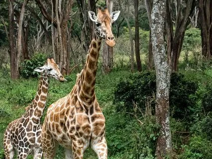 Letting Go: Reflective Meditation For Stress Relief