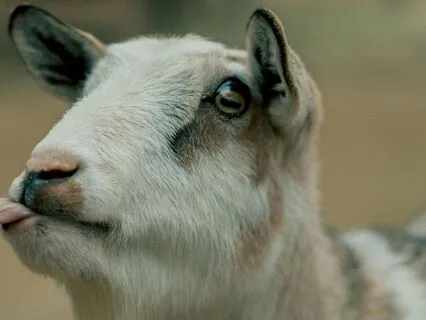 Letting Go, Solfeggio Frequency 396