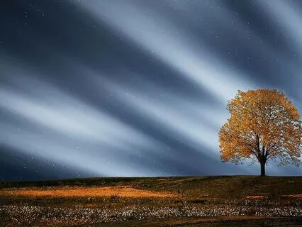 Letting Go Through Breath