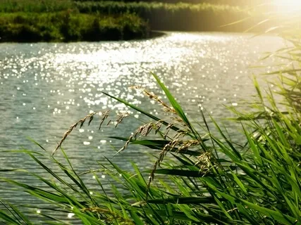  Letting Go To Embrace Presence 