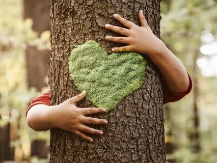 Transformative Affirmations: Letting Go