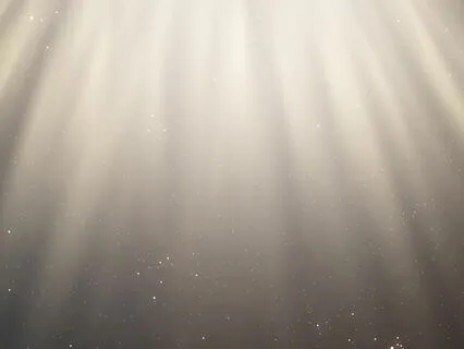 Letting Go & Trusting: A Somatic Experience