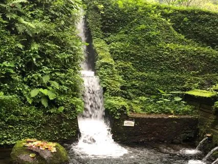Letting Go : Waterfall Meditation