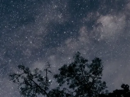 Letting Go: Welcoming Sleep