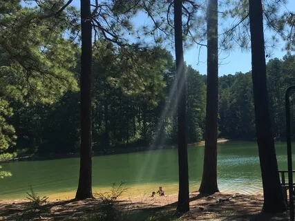 Letting Go What Is Out of Our Control