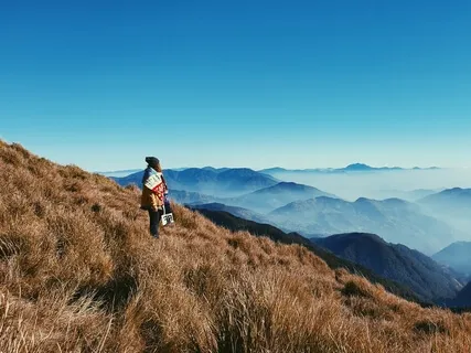 Letting Go With Curiosity & Compassion