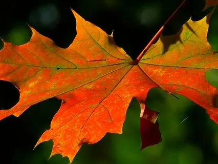 Letting Go With Ease And Grace