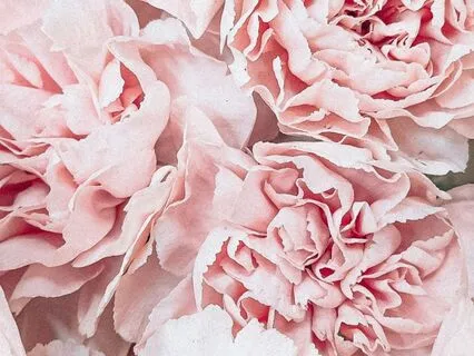 Letting Go With Ease Yoga Nidra For Period Pain