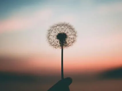 Letting Go With Fire & Rain Shamanic Soul