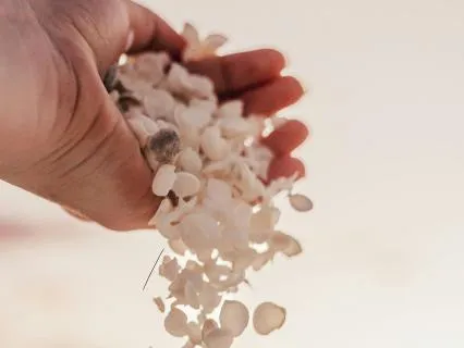 Letting Go Without Giving Up