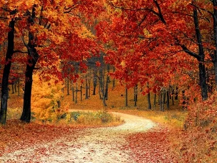 Letting In And Letting Go - Metal Meditation