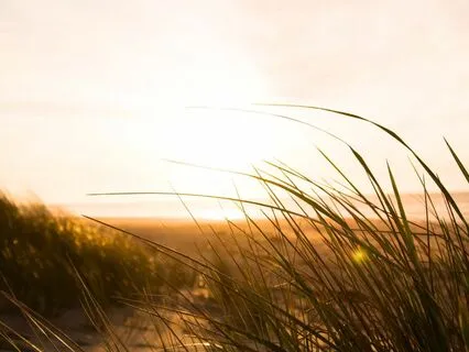 Letting It Be: A Guided Meditation For Mindful Awareness