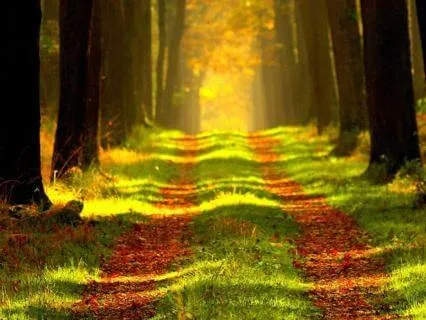 Moving Forward After Loss