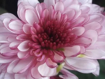 Letting Life Love You Up-A Potent Prayer To Lighten Your Day