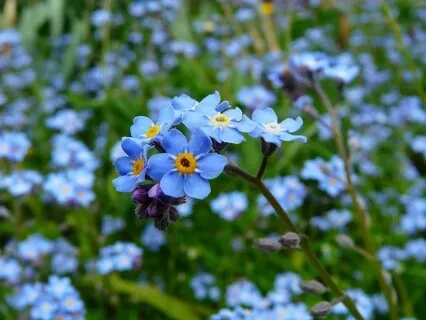 Letting Nature In - May 23