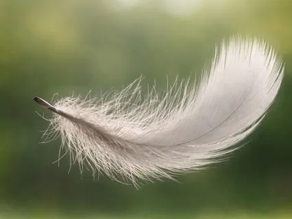 Letting The Body Breathe