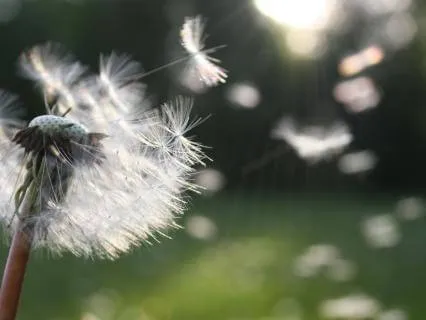 Letting The Cycle Begin Naturally  Gate 41