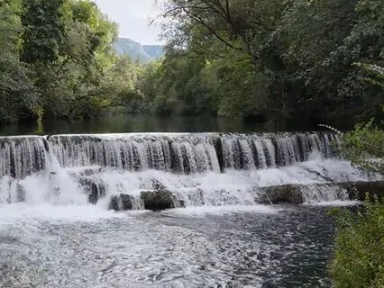 Letting The Heart Speak