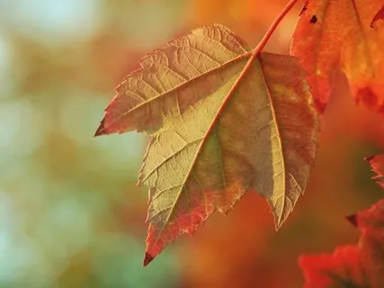 Letting The Old Self Go