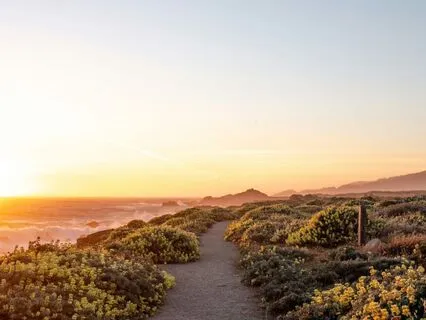 Living The Bodhisattva Vows: Integration Of Each Vow