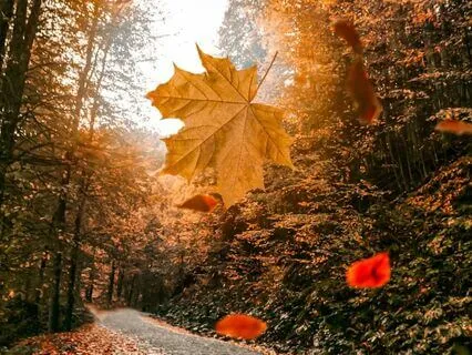 For When Nothing's Changing - Letting Things Move