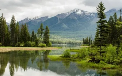 Letting Thoughts & Feelings Be