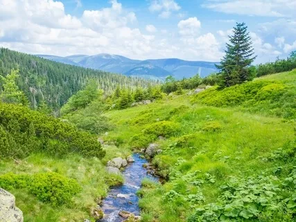 Letting Thoughts Float By