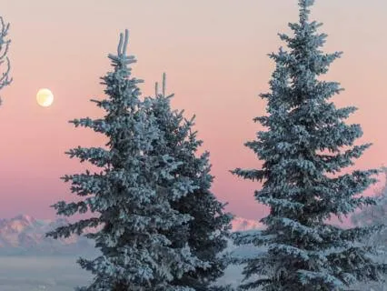 Letting Winter Unfold