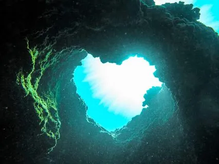 Letting Your Heart Flower