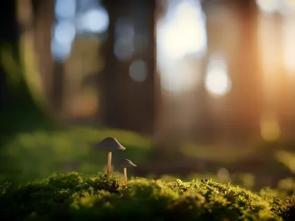 Letting Your Own Presence Shine!