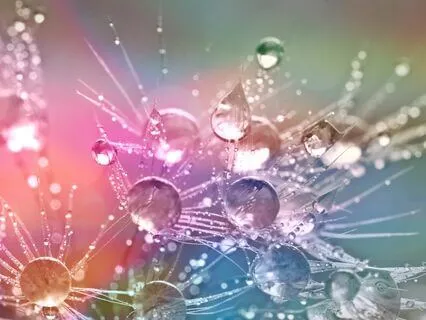 Level 2 Reiki Daily Practice: Send Distance Healing