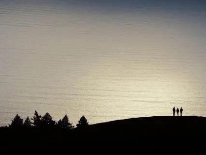 Level 3, Check-In Training: For Embodied Leadership