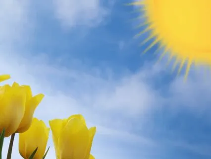 Levelling Up After Defeat With Assess And Affirmations