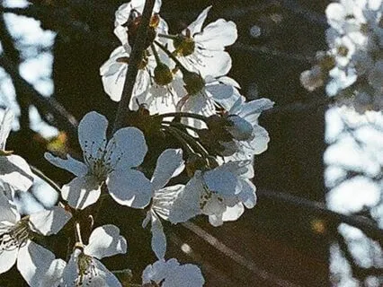 Levels Of Awareness (With Chimes)