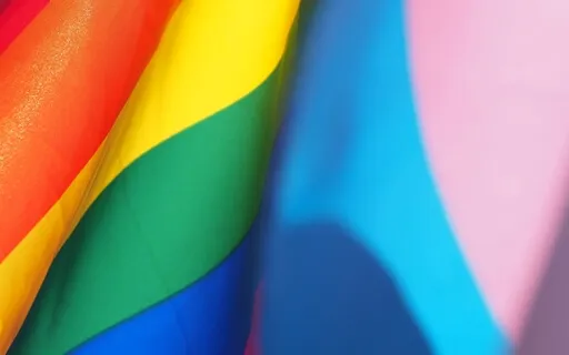 LGBTQ+ Svadhyaya (Self Study)