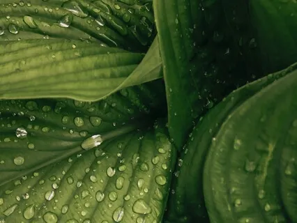 Liberating Beliefs: Affirmations For gratitude + Confidence 