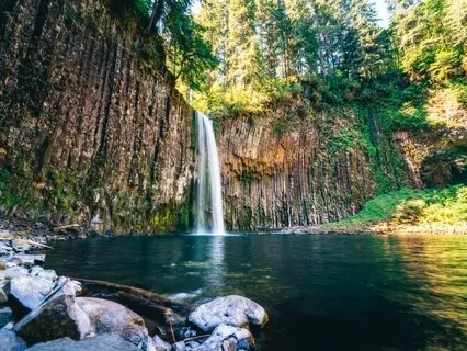 Liberating The Heart