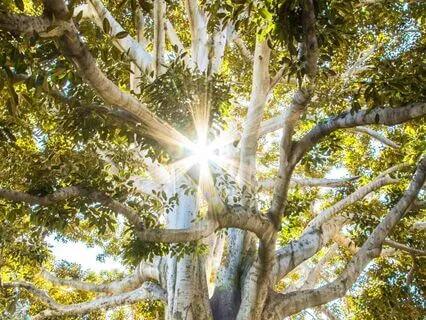 Liberating The Soul - Meditation For Overcoming Addictions