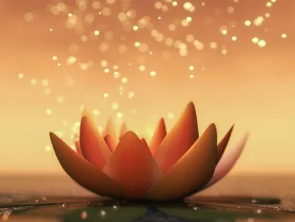 Liberation: A Guided Cord Cutting & Energetic Release