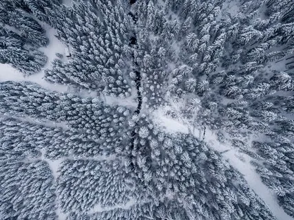 Liberation From All Evil (639Hz)