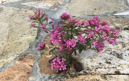 Liberation From Fear (Piano Meditation)