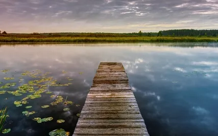 Libérez-vous des Énergies Négatives en 15 Minutes