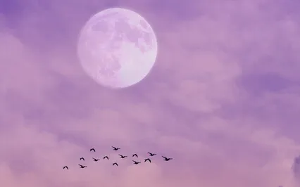 Libra Full Moon Guided Meditation - April 2022