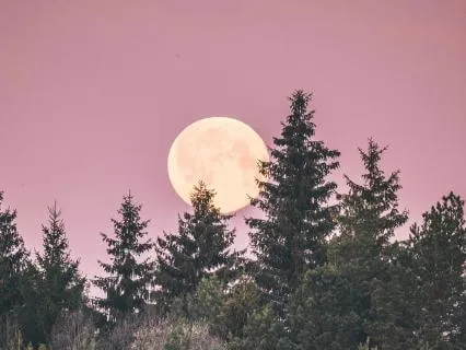 Libra Full Pink Moon Practice · April 2026