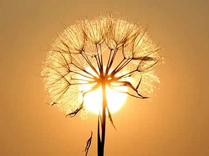 Лечебная Медитация Перед Сном | Энергетический Белый Шар